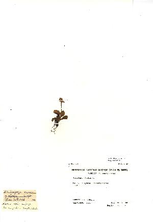  ( - NMW793)  @11 [ ] Unspecified (default): All Rights Reserved  Unspecified Unspecified