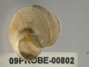  ( - PPM006)  @13 [ ] Unspecified (default): All Rights Reserved  Unspecified Unspecified