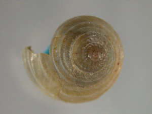  ( - PPM006)  @13 [ ] Unspecified (default): All Rights Reserved  Unspecified Unspecified