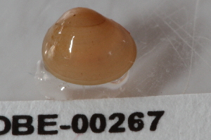  ( - PPM183)  @13 [ ] Unspecified (default): All Rights Reserved  Unspecified Unspecified