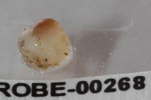 ( - PPM184)  @12 [ ] Unspecified (default): All Rights Reserved  Unspecified Unspecified