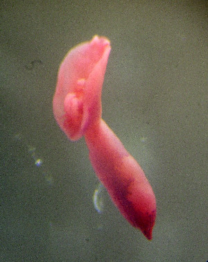  ( - D.IN.Kq.Lama.1.1)  @13 [ ] Copyright (2010) Sean Locke Environment Canada