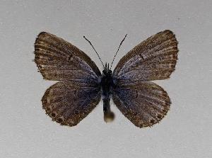  ( - AGcoll.2022_PSEF-08)  @11 [ ] Copyright © (2024) Aurelien GAUNET Aurelien GAUNET