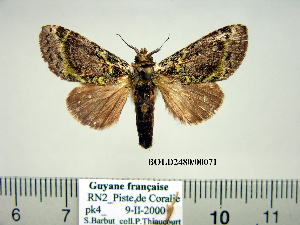  ( - Bb8-7-7 B2840-71)  @11 [ ] Copyright (2010) Paul Thiaucourt Research Collection of Paul Thiaucourt