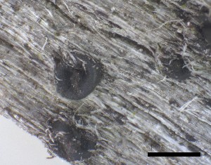  ( - O-F-258296)  @11 [ ] by-nc-sa (2021) Unspecified Norwegian Institute for Nature Research