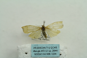  ( - ARB00024571)  @12 [ ] Copyright  SCDBC-KIZ-CAS, Imaging group Kunming Institute of Zoology, CAS