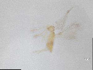  ( - QMOR84050)  @11 [ ] Unspecified (default): All Rights Reserved  Unspecified Unspecified