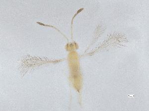  ( - QMOR87582)  @11 [ ] Unspecified (default): All Rights Reserved  Unspecified Unspecified