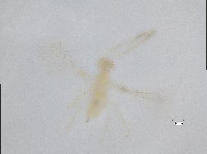 ( - QMOR87654)  @11 [ ] Unspecified (default): All Rights Reserved  Unspecified Unspecified