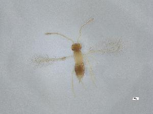  ( - QMOR87801)  @11 [ ] Unspecified (default): All Rights Reserved  Unspecified Unspecified