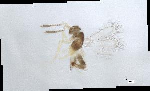  ( - QMOR88068)  @11 [ ] Unspecified (default): All Rights Reserved  Unspecified Unspecified