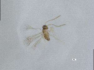  ( - QMOR88478)  @11 [ ] Unspecified (default): All Rights Reserved  Unspecified Unspecified