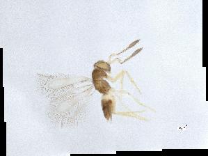  ( - QMOR91313)  @11 [ ] Unspecified (default): All Rights Reserved  Unspecified Unspecified