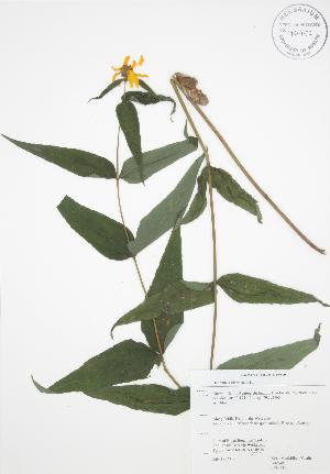  ( - RBG 110)  @11 [ ] Copyright (2009) Steven Newmaster University of Guelph BIO Herbarium