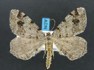  ( - DH012550)  @14 [ ] Unspecified (default): All Rights Reserved  Unspecified Unspecified