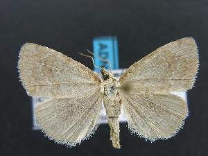  ( - DH012710)  @13 [ ] Unspecified (default): All Rights Reserved  Unspecified Unspecified