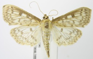  ( - MDH004726)  @14 [ ] Unspecified (default): All Rights Reserved  Unspecified Unspecified