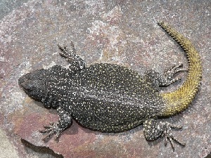  ( - 7965RAr)  @12 [ ] Unspecified (default): All Rights Reserved (2014) L.J. Avila CENPAT