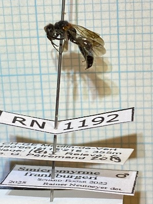  ( - RN1192)  @11 [ ] Unspecified (default): All Rights Reserved (2025) Rainer Neumeyer Unspecified