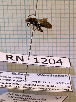  ( - RN1204)  @11 [ ] Unspecified (default): All Rights Reserved (2025) Rainer Neumeyer Unspecified