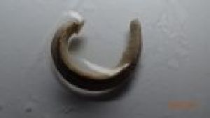  ( - HRER_FI2a_01)  @11 [ ] Creative Commons-Attribution Non Commercial-Share Alike (2022) Lujza Keresztes Unspecified