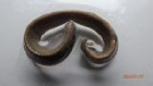  ( - HRER_FI2b_01)  @11 [ ] Creative Commons-Attribution Non Commercial-Share Alike (2022) Lujza Keresztes Unspecified