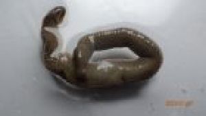  ( - HRER_SC3b_03)  @11 [ ] Creative Commons-Attribution Non Commercial-Share Alike (2022) Lujza Keresztes Unspecified