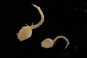  ( - 8058.1B)  @11 [ ] by-nc-nd (2025) Sarah Gerken University of Alaska Anchorage