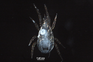  ( - BIOUG21882-D03)  @13 [ ] CreativeCommons - Attribution (2016) CBG Photography Group Centre for Biodiversity Genomics