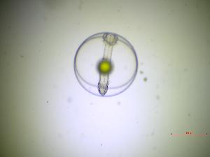  ( - 9_BB_15102022)  @11 [ ] Copyright (2025) Unspecified Blijdorp Science and Conservation Center