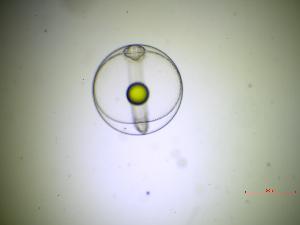  ( - 9_BB_15102022)  @11 [ ] Copyright (2025) Unspecified Blijdorp Science and Conservation Center