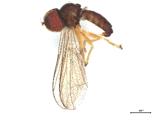  ( - BIOUG22872-F09)  @11 [ ] CreativeCommons - Attribution (2025) CBG Photography Group Centre for Biodiversity Genomics