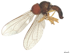  ( - BIOUG22872-F10)  @11 [ ] CreativeCommons - Attribution (2025) CBG Photography Group Centre for Biodiversity Genomics