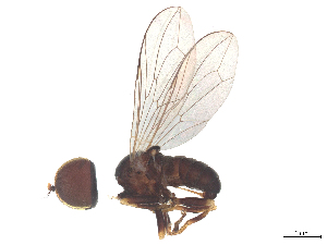  ( - BIOUG22875-F07)  @11 [ ] CreativeCommons - Attribution (2025) CBG Photography Group Centre for Biodiversity Genomics