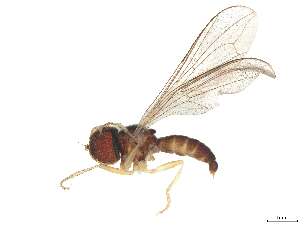  ( - BIOUG22875-F08)  @11 [ ] CreativeCommons - Attribution (2025) CBG Photography Group Centre for Biodiversity Genomics