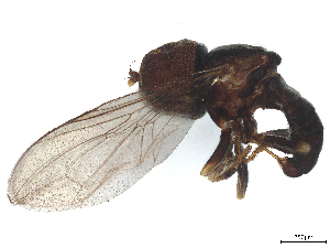  ( - BIOUG22876-H05)  @11 [ ] CreativeCommons - Attribution (2025) CBG Photography Group Centre for Biodiversity Genomics