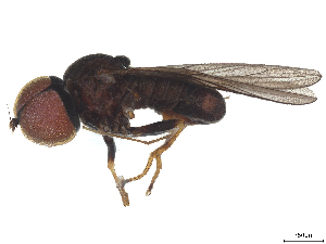  ( - BIOUG22928-E04)  @11 [ ] CreativeCommons - Attribution (2025) CBG Photography Group Centre for Biodiversity Genomics