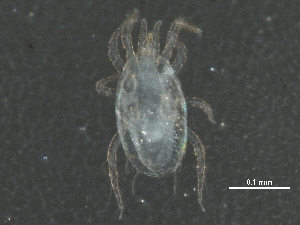  ( - BIOUG23534-F02)  @13 [ ] CreativeCommons - Attribution (2015) CBG Photography Group Centre for Biodiversity Genomics