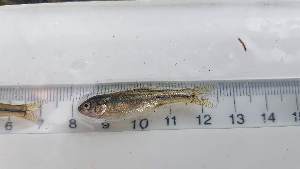  ( - RAM_EDMN_165)  @11 [ ] Unspecified (default): All Rights Reserved  Unspecified Unspecified