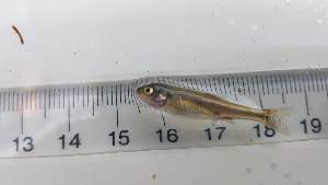  ( - RAM_EDMN_166)  @11 [ ] Unspecified (default): All Rights Reserved  Unspecified Unspecified