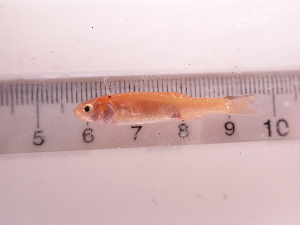  ( - RAM_PTSM_220)  @11 [ ] Unspecified (default): All Rights Reserved  Unspecified Unspecified