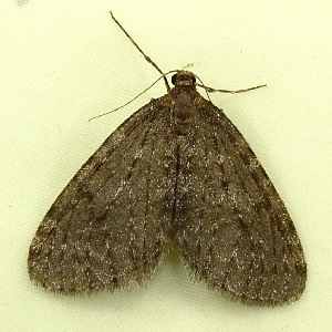  ( - RWWA-1453)  @12 [ ] Copyright (2010) Unspecified Unspecified