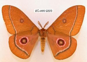  ( - BC-ARI 0203)  @11 [ ] Copyright (2011) Andreas Riekert Unspecified