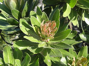  ( - Abbott9165)  @11 [ ] Unspecified (default): All Rights Reserved  Unspecified Unspecified