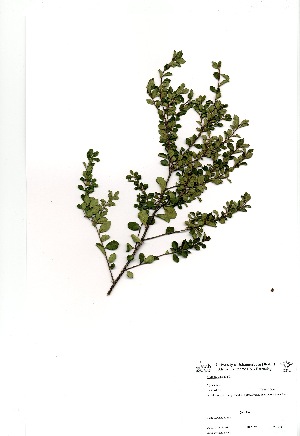  ( - DGE200-26.03.2011)  @11 [ ] No Rights Reserved  Unspecified Unspecified