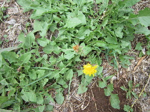  ( - KMS-0124)  @11 [ ] No Rights Reserved  Unspecified Unspecified