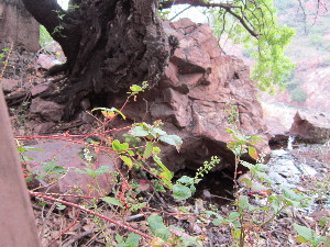  ( - MND-0042)  @11 [ ] No Rights Reserved  Unspecified Unspecified