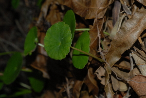  ( - OM2488)  @11 [ ] Unspecified (default): All Rights Reserved  Unspecified Unspecified