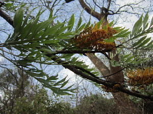  ( - PPRI-0065)  @11 [ ] No Rights Reserved  Unspecified Unspecified