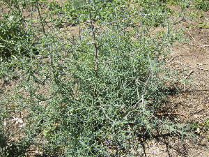  ( - PPRI-0114)  @11 [ ] No Rights Reserved  Unspecified Unspecified